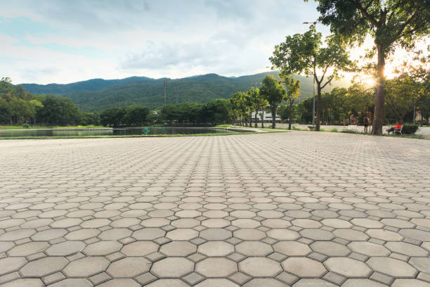 Best Driveway Pavers Near Me  in Navassa, NC